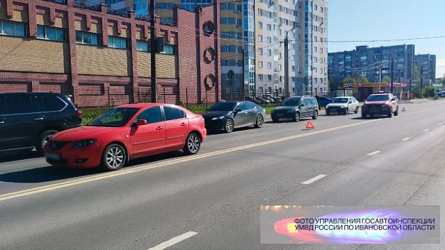 Водители при столкновении с лосенком на улице Станкостроителей не пострадали